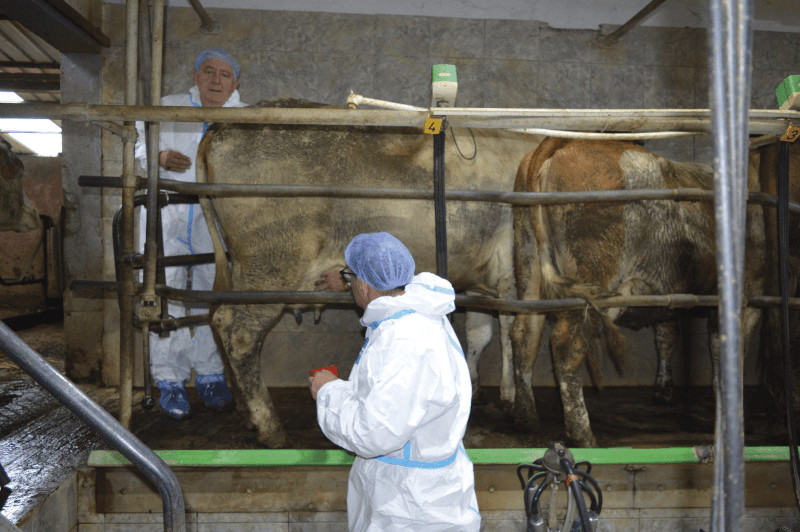 Završena je faza uzorkovanja i analiziranja koja je trajala prethodnih 10 meseci